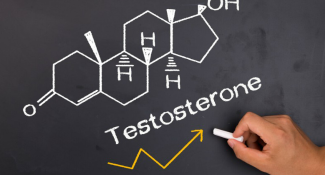 Testosterone Impact On Performance In Business